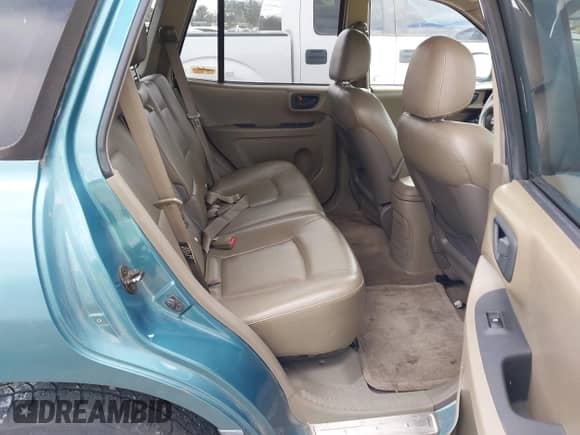 2002 Hyundai Santa Fe GLS with VIN KM8SC73D22U245851, listed as a IAAI auction lot 41733222 with 184,179 mi miles and . Bid and sale history available at DreamBid. Image 8.