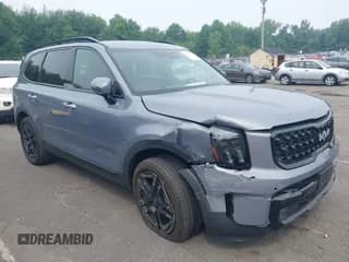 ✅ 2024 Kia Telluride SX • VIN: 5XYP5DGCXRG472883 • Lot: 42905653. Wystawiony na IAAI z przebiegiem 27 460 mil. Bezpłatny archiwum sprzedaży aukcyjnych z USA i szczegółowy raport historii pojazdu na DreamBid. Zdjęcie 1.
