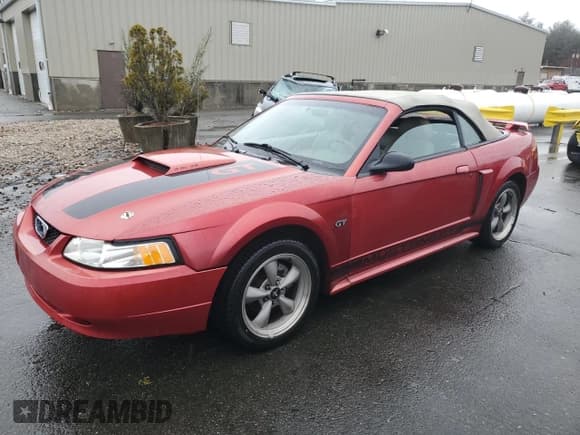 ✅ 2001 Ford Mustang GT Deluxe • VIN: 1FAFP45X71F258331 • Lot: 49202495. Listed on Copart with 136,968 mi. Free auction sales archive from the USA and detailed vehicle history report at DreamBid. Image 1.