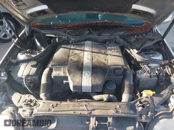 ✅ 2003 Mercedes-Benz C 240 • VIN: WDBRF61J53F422376 • Lot: 42262562. Wystawiony na IAAI z przebiegiem 167 003 mil. Bezpłatny archiwum sprzedaży aukcyjnych z USA i szczegółowy raport historii pojazdu na DreamBid. Zdjęcie 10.