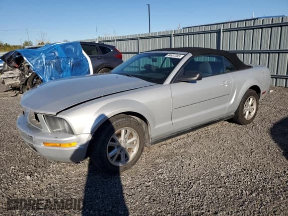 ✅ 2007 Ford Mustang Deluxe • VIN: 1ZVFT84N175328186 • Lot: 84607045. Listed on Copart with 235,986 mi. Free auction sales archive from the USA and detailed vehicle history report at DreamBid. Image 1.