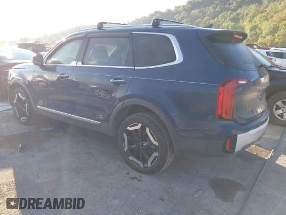 ✅ 2024 Kia Telluride S • VIN: 5XYP6DGCXRG454896 • Lot: 42994455. Listed on IAAI with 50,137 mi. Free auction sales archive from the USA and detailed vehicle history report at DreamBid. Image 3.
