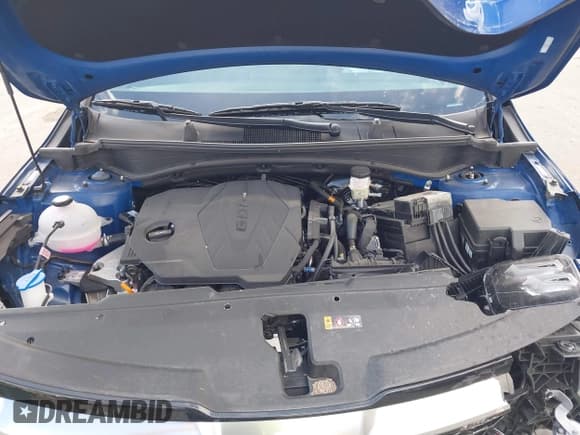 ✅ 2025 Kia Sportage SX-Prestige • VIN: 5XYK53DF8SG320562 • Lot: 43655643. Listed on IAAI with 11,780 mi. Free auction sales archive from the USA and detailed vehicle history report at DreamBid. Image 10.