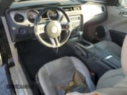 ✅ 2010 Ford Mustang V6 • VIN: 1ZVBP8EN0A5179472 • Lot: 87484885. Listed on Copart with 158,233 mi. Free auction sales archive from the USA and detailed vehicle history report at DreamBid. Image 8.