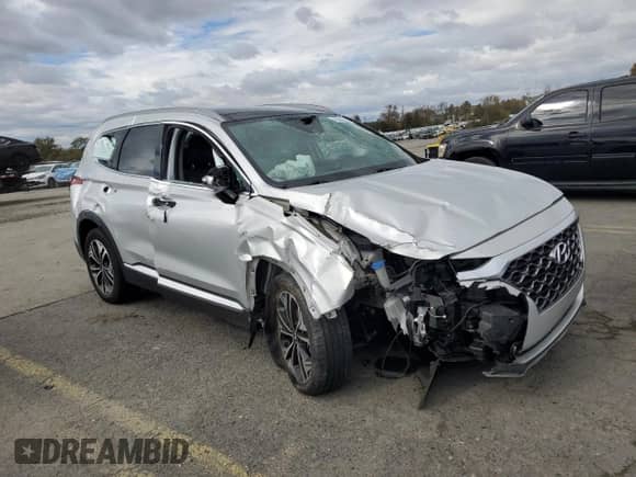 2020 Hyundai Santa Fe SEL with VIN 5NMS3CAA6LH149476, listed as a Copart auction lot 82646325 with Not provided miles and Salvage title. Bid and sale history available at DreamBid. Image 4.