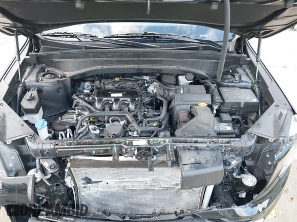 ✅ 2024 Kia Telluride S • VIN: 5XYP6DGC4RG530483 • Лот: 43596740. Опубликован ранее на IAAI с пробегом 20 849 миль. Бесплатный доступ к архиву аукционных продаж из США и подробный отчёт об истории автомобиля на DreamBid. Изображение 10.