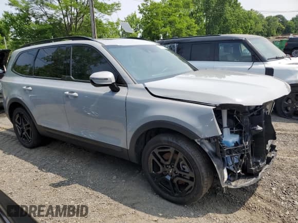 ✅ 2024 Kia Telluride SX Prestige X-Pro • VIN: 5XYP5DGC3RG440826 • Lot: 61051215. Wystawiony na Copart z przebiegiem 22 685 mil. Bezpłatny archiwum sprzedaży aukcyjnych z USA i szczegółowy raport historii pojazdu na DreamBid. Zdjęcie 4.