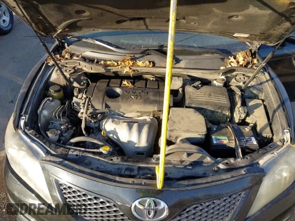 ✅ 2010 Toyota Camry LE • VIN: 4T1BF3EK2AU086761 • Lot: 43735447. Listed on IAAI with 225,655 mi. Free auction sales archive from the USA and detailed vehicle history report at DreamBid. Image 10.