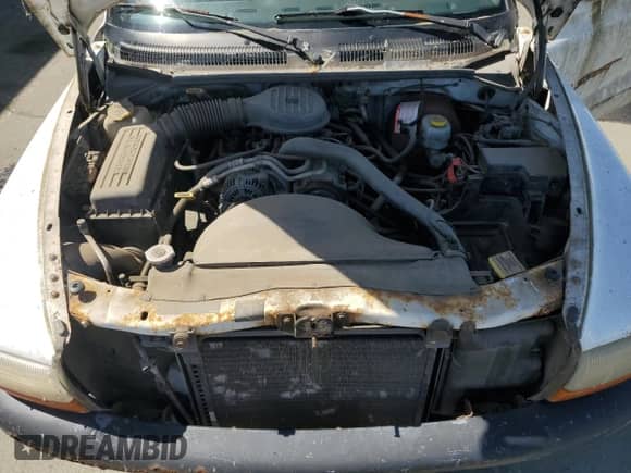 1999 Dodge Dakota SLT z VIN 1B7GG22X5XS125249, wystawiony jako Copart lot #51854885 z przebiegiem 169 018 mil mil oraz Czysty tytuł • Clean title. Historia ofert i sprzedaży dostępna na DreamBid. Obrazek 11.