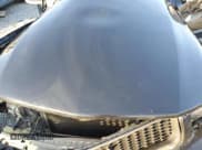 ✅ 2005 Ford Mustang Deluxe • VIN: 1ZVFT84N155192204 • Lot: 48663695. Listed on Copart with Not provided. Free auction sales archive from the USA and detailed vehicle history report at DreamBid. Image 11.