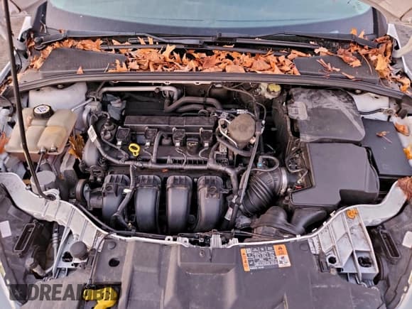 ✅ 2015 Ford Focus SE • VIN: 1FADP3F27FL365134 • Lot: 95317315. Wystawiony na Copart z przebiegiem 200 473 mil. Bezpłatny archiwum sprzedaży aukcyjnych z USA i szczegółowy raport historii pojazdu na DreamBid. Zdjęcie 11.