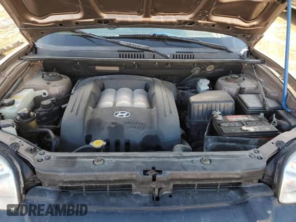 2005 Hyundai Santa Fe z VIN KM8SB73D65U991596, wystawiony jako Copart lot #89161285 z przebiegiem 380 167 mil mil oraz Szkoda całkowita • Salvage title. Historia ofert i sprzedaży dostępna na DreamBid. Obrazek 12.