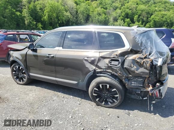 ✅ 2023 Kia Telluride SX • VIN: 5XYP5DGC4PG355197 • Lot: 56624965. Wystawiony na Copart z przebiegiem 41 837 mil. Bezpłatny archiwum sprzedaży aukcyjnych z USA i szczegółowy raport historii pojazdu na DreamBid. Zdjęcie 2.
