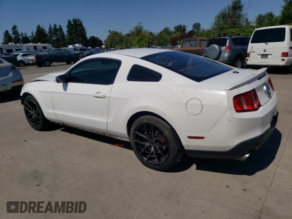 ✅ 2011 Ford Mustang V6 • VIN: 1ZVBP8AM5B5119749 • Lot: 65760385. Listed on Copart with 134,358 mi. Free auction sales archive from the USA and detailed vehicle history report at DreamBid. Image 2.