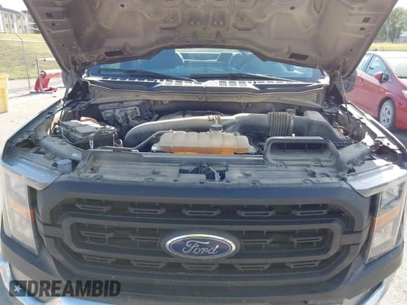 ✅ 2023 Ford F-150 XL • VIN: 1FTNF1E86PKE12110 • Lot: 43099084. Listed on IAAI with 30,340 mi. Free auction sales archive from the USA and detailed vehicle history report at DreamBid. Image 10.