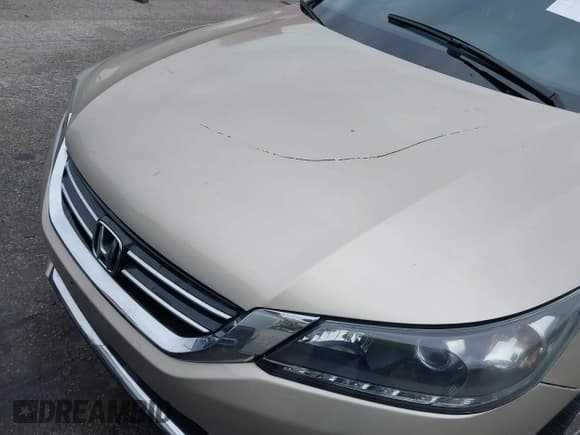 ✅ 2014 Honda Accord EX-L • VIN: 1HGCR3F89EA010112 • Lot: 43586051. Listed on IAAI with 96,316 mi. Free auction sales archive from the USA and detailed vehicle history report at DreamBid. Image 17.