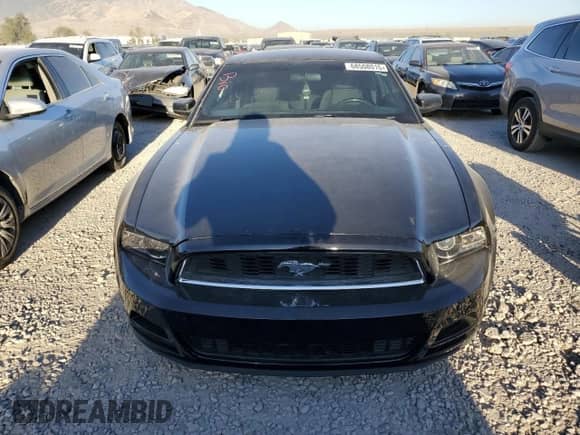 2014 Ford Mustang V6 с VIN 1ZVBP8AM7E5333498, выставлен на аукционе Copart как лот 68508015 с пробегом 53 734 миль миль и Списание • Salvage title. История ставок и продаж доступна на DreamBid. Изображение 5.