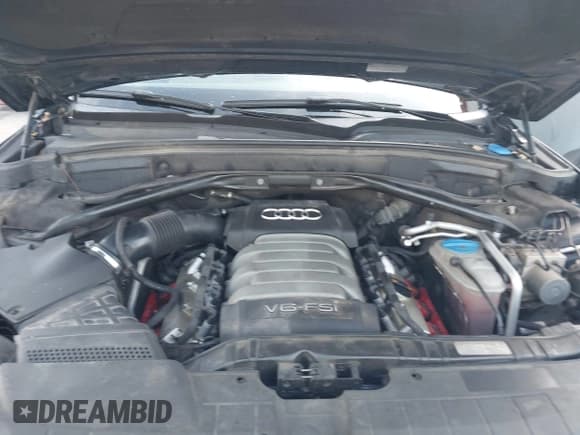 ✅ 2010 Audi Q5 Premium • VIN: WA1CKAFP6AA023676 • Lot: 43759170. Listed on IAAI with 200,364 mi. Free auction sales archive from the USA and detailed vehicle history report at DreamBid. Image 10.