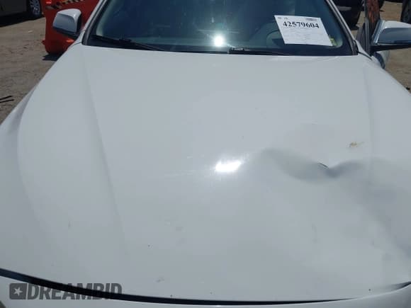 ✅ 2014 BMW 4 Series 435i • VIN: WBA3R1C52EF729201 • Lot: 42579604. Wystawiony na IAAI z przebiegiem 145 277 mil. Bezpłatny archiwum sprzedaży aukcyjnych z USA i szczegółowy raport historii pojazdu na DreamBid. Zdjęcie 10.