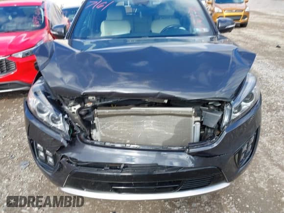 ✅ 2018 Kia Sorento SX Limited • VIN: 5XYPKDA51JG383579 • Лот: 43637161. Опубликован ранее на IAAI с пробегом 56 363 миль. Бесплатный доступ к архиву аукционных продаж из США и подробный отчёт об истории автомобиля на DreamBid. Изображение 12.