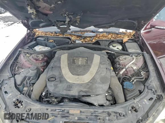 ✅ 2008 Mercedes-Benz S 550 • VIN: WDDNG86X38A180980 • Lot: 95313715. Listed on Copart with 140,359 mi. Free auction sales archive from the USA and detailed vehicle history report at DreamBid. Image 11.