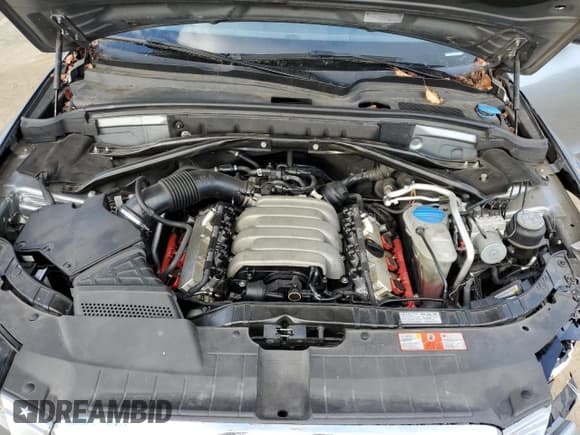 ✅ 2010 Audi Q5 Premium Plus • VIN: WA1LKAFP3AA068011 • Лот: 52264715. Опубликован ранее на Copart с пробегом 131 830 миль. Бесплатный доступ к архиву аукционных продаж из США и подробный отчёт об истории автомобиля на DreamBid. Изображение 13.