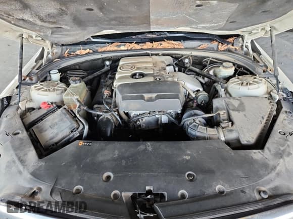 ✅ 2013 Cadillac ATS • VIN: 1G6AA5RX4D0163211 • Lot: 90792185. Wystawiony na Copart z przebiegiem 157 725 mil. Bezpłatny archiwum sprzedaży aukcyjnych z USA i szczegółowy raport historii pojazdu na DreamBid. Zdjęcie 11.