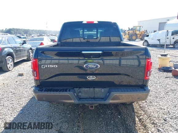 ✅ 2016 Ford F-150 Platinum • VIN: 1FTEW1EG2GFC55398 • Lot: 43474053. Wystawiony na IAAI z przebiegiem 218 679 mil. Bezpłatny archiwum sprzedaży aukcyjnych z USA i szczegółowy raport historii pojazdu na DreamBid. Zdjęcie 16.