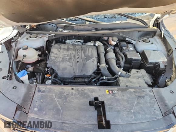 ✅ 2024 Kia Sorento EX • VIN: 5XYRH4JF1RG307100 • Lot: 87210615. Listed on Copart with 29,290 mi. Free auction sales archive from the USA and detailed vehicle history report at DreamBid. Image 12.