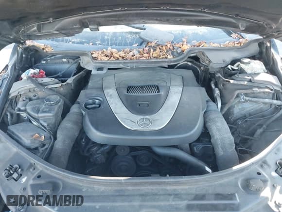 ✅ 2007 Mercedes-Benz R 3.5L • VIN: 4JGCB65E67A042493 • Lot: 43843820. Listed on IAAI with Not provided. Free auction sales archive from the USA and detailed vehicle history report at DreamBid. Image 10.