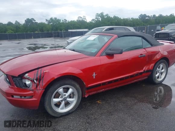 ✅ 2008 Ford Mustang Deluxe • VIN: 1ZVHT84N885121272 • Lot: 42220813. Listed on IAAI with 137,152 mi. Free auction sales archive from the USA and detailed vehicle history report at DreamBid. Image 6.