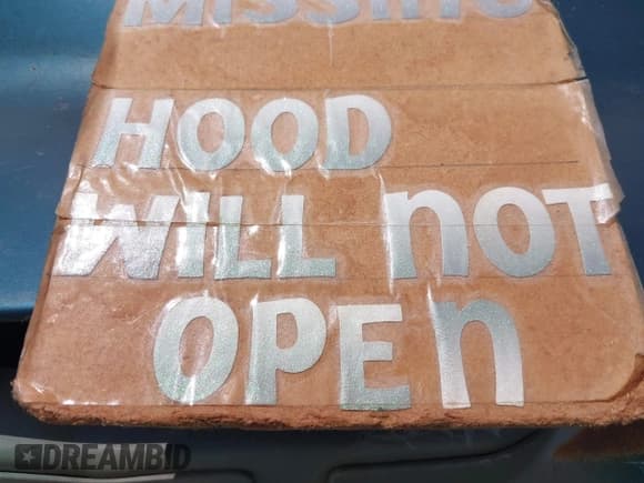 ✅ 1999 Ford F-250 XL • VIN: 1FTNX21LXXEC22953 • Lot: 42466901. Listed on IAAI with 201,206 mi. Free auction sales archive from the USA and detailed vehicle history report at DreamBid. Image 10.