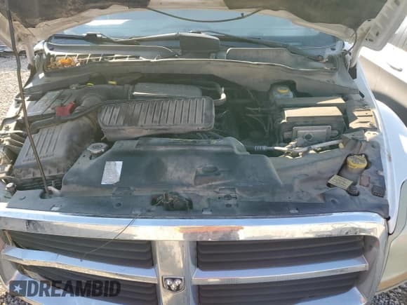 ✅ 2005 Dodge Durango SXT • VIN: 1D4HD38N25F545441 • Лот: 82235575. Опубликован ранее на Copart с пробегом 245 131 миль. Бесплатный доступ к архиву аукционных продаж из США и подробный отчёт об истории автомобиля на DreamBid. Изображение 11.