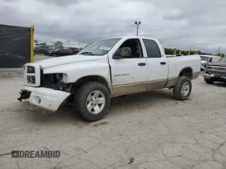 ✅ 2002 Dodge 1500 • VIN: 1D7HU18N62J136536 • Лот: 69820665. Опубликован ранее на Copart с пробегом 222 110 миль. Бесплатный доступ к архиву аукционных продаж из США и подробный отчёт об истории автомобиля на DreamBid. Изображение 1.