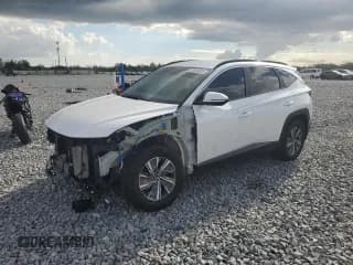 ✅ 2023 Hyundai Tucson Blue • VIN: KM8JBCA15PU087545 • Lot: 84540595. Wystawiony na Copart z przebiegiem 75 023 mil. Bezpłatny archiwum sprzedaży aukcyjnych z USA i szczegółowy raport historii pojazdu na DreamBid. Zdjęcie 1.