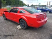 ✅ 2007 Ford Mustang Deluxe • VIN: 1ZVFT80N775321992 • Лот: 42834692. Опубликован ранее на IAAI с пробегом Не указан. Бесплатный доступ к архиву аукционных продаж из США и подробный отчёт об истории автомобиля на DreamBid. Изображение 3.