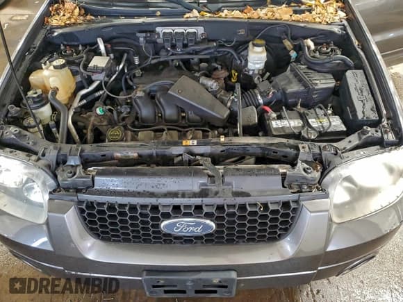 ✅ 2005 Ford Escape Limited • VIN: 1FMYU94165KC29112 • Lot: 94324405. Listed on Copart with 199,492 mi. Free auction sales archive from the USA and detailed vehicle history report at DreamBid. Image 12.