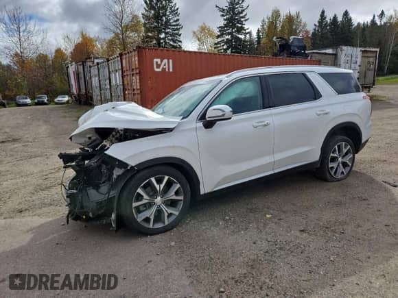 ✅ 2021 Hyundai Palisade SEL • VIN: KM8R3DHE2MU283386 • Lot: 84896555. Listed on Copart with 104,222 mi. Free auction sales archive from the USA and detailed vehicle history report at DreamBid. Image 1.