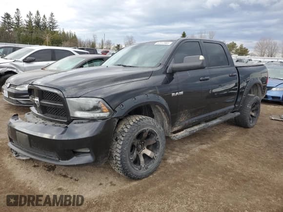 ✅ 2010 Dodge 1500 SLT • VIN: 1D7RV1CT8AS167917 • Lot: 52312985. Wystawiony na Copart z przebiegiem 402 856 mil. Bezpłatny archiwum sprzedaży aukcyjnych z USA i szczegółowy raport historii pojazdu na DreamBid. Zdjęcie 1.