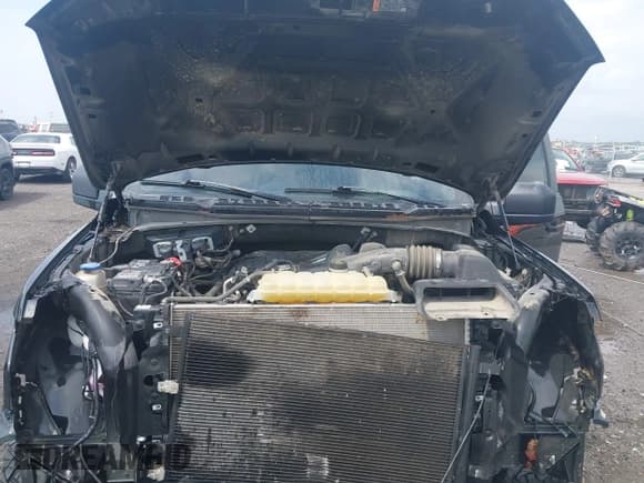 ✅ 2019 Ford F-150 XL • VIN: 1FTMF1CB7KKD87222 • Lot: 41955665. Listed on IAAI with 129,786 mi. Free auction sales archive from the USA and detailed vehicle history report at DreamBid. Image 10.