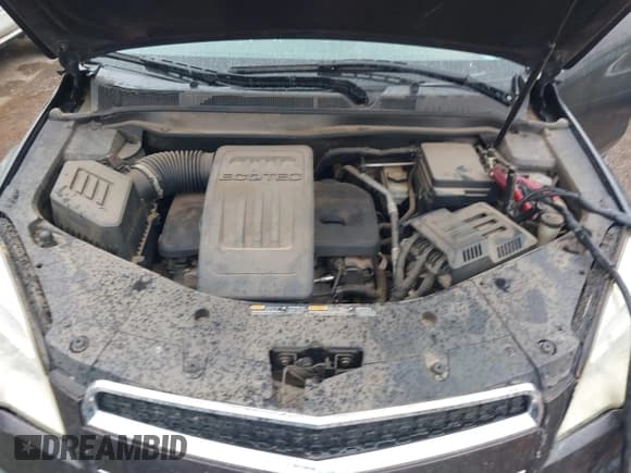 ✅ 2014 Chevrolet Equinox LT • VIN: 2GNALBEK6E6312458 • Lot: 43413047. Wystawiony na IAAI z przebiegiem 203 732 mil. Bezpłatny archiwum sprzedaży aukcyjnych z USA i szczegółowy raport historii pojazdu na DreamBid. Zdjęcie 10.