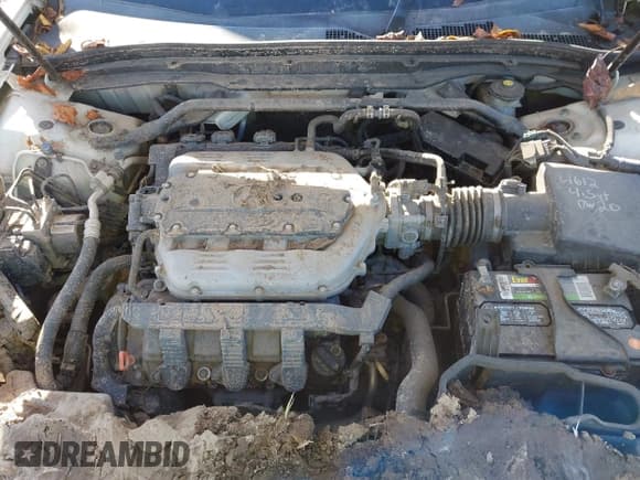 ✅ 2012 Acura TL Technology • VIN: 19UUA8F58CA039869 • Lot: 43488916. Listed on IAAI with 172,056 mi. Free auction sales archive from the USA and detailed vehicle history report at DreamBid. Image 10.