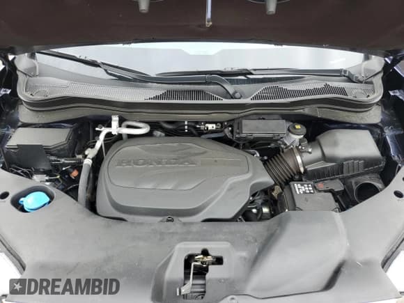 ✅ 2025 Honda Passport EX-L • VIN: 5FNYF8H53SB001955 • Lot: 61073885. Wystawiony na Copart z przebiegiem 6 613 mil. Bezpłatny archiwum sprzedaży aukcyjnych z USA i szczegółowy raport historii pojazdu na DreamBid. Zdjęcie 12.