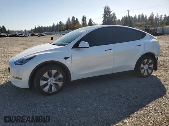 ✅ 2023 Tesla Model Y Long Range • VIN: 7SAYGDEE9PA073454 • Lot: 81156105. Listed on Copart with 26,203 mi. Free auction sales archive from the USA and detailed vehicle history report at DreamBid. Image 1.