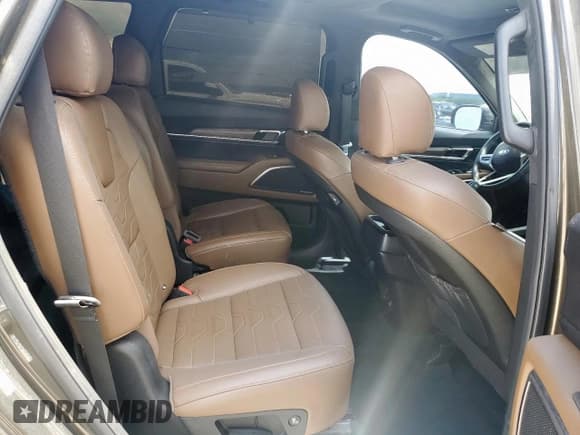 ✅ 2020 Kia Telluride SX • VIN: 5XYP5DHC1LG038521 • Лот: 55861575. Опубликован ранее на Copart с пробегом 56 694 миль. Бесплатный доступ к архиву аукционных продаж из США и подробный отчёт об истории автомобиля на DreamBid. Изображение 11.