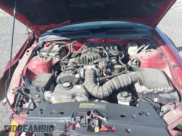 ✅ 2005 Ford Mustang Deluxe • VIN: 1ZVFT80N055117399 • Lot: 43363598. Wystawiony na IAAI z przebiegiem 117 198 mil. Bezpłatny archiwum sprzedaży aukcyjnych z USA i szczegółowy raport historii pojazdu na DreamBid. Zdjęcie 10.