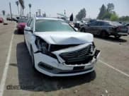 ✅ 2017 Hyundai Sonata Sport • VIN: 5NPE34AF0HH555181 • Lot: 48177103. Listed on Copart with 92,406 mi. Free auction sales archive from the USA and detailed vehicle history report at DreamBid. Image 11.