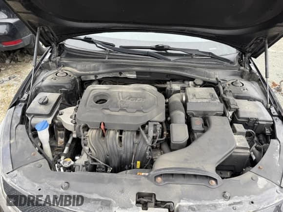 ✅ 2019 Kia Optima EX • VIN: 5XXGU4L31KG310854 • Lot: 90430655. Wystawiony na Copart z przebiegiem 156 555 mil. Bezpłatny archiwum sprzedaży aukcyjnych z USA i szczegółowy raport historii pojazdu na DreamBid. Zdjęcie 11.