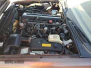 ✅ 1991 Jaguar XJ • VIN: SAJKY1747MC641684 • Lot: 77329294. Wystawiony na Copart z przebiegiem Nie podano. Bezpłatny archiwum sprzedaży aukcyjnych z USA i szczegółowy raport historii pojazdu na DreamBid. Zdjęcie 11.