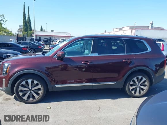 ✅ 2022 Kia Telluride EX • VIN: 5XYP3DHC5NG230081 • Lot: 42286527. Listed on IAAI with 53,268 mi. Free auction sales archive from the USA and detailed vehicle history report at DreamBid. Image 14.